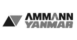 Ammann Yanmar